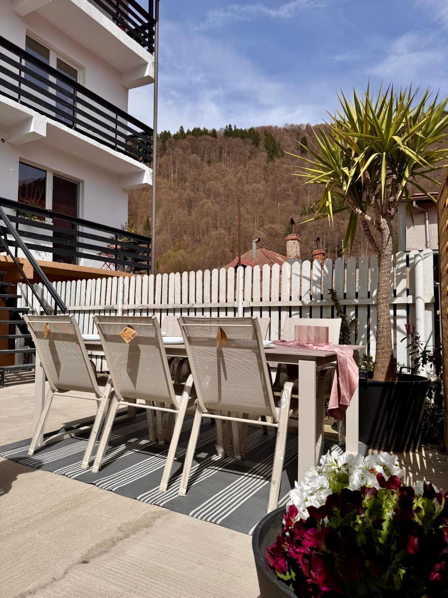 Greg Rooms Sinaia Exterior photo